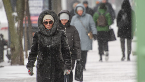 Социальные пенсии воронежцев проиндексируют 1 апреля