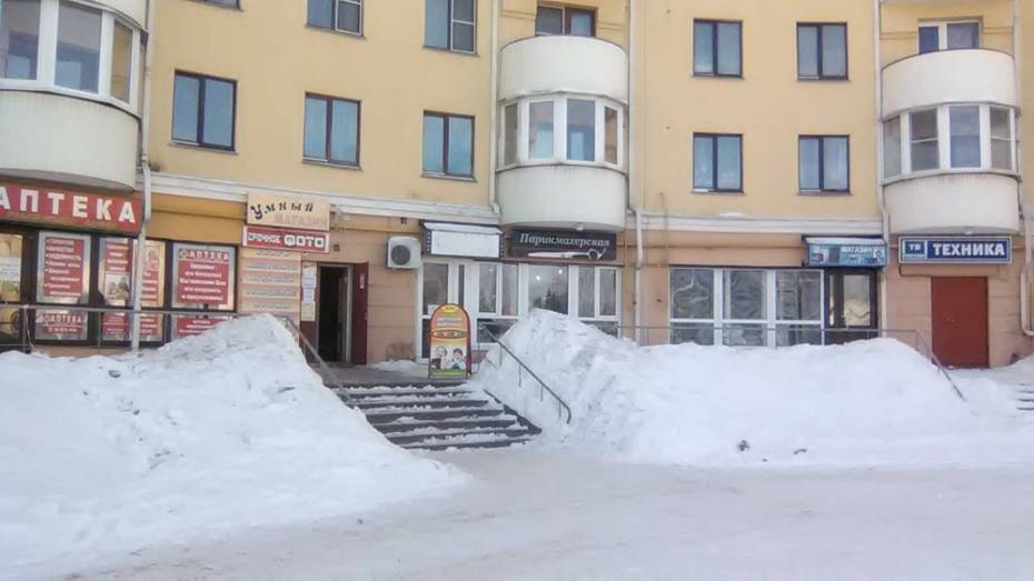 Рамонские предприниматели заплатят штрафы за нечищенный возле магазинов снег