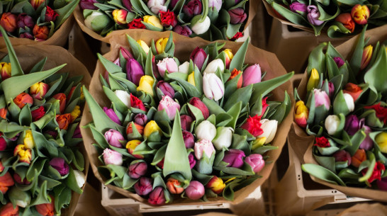 В преддверии Дня всех влюбленных воронежцев предупредили о мошенниках с цветами и подарками