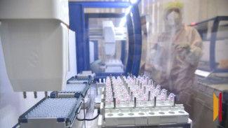 Воронежцам рассказали о новом штамме коронавируса XFG