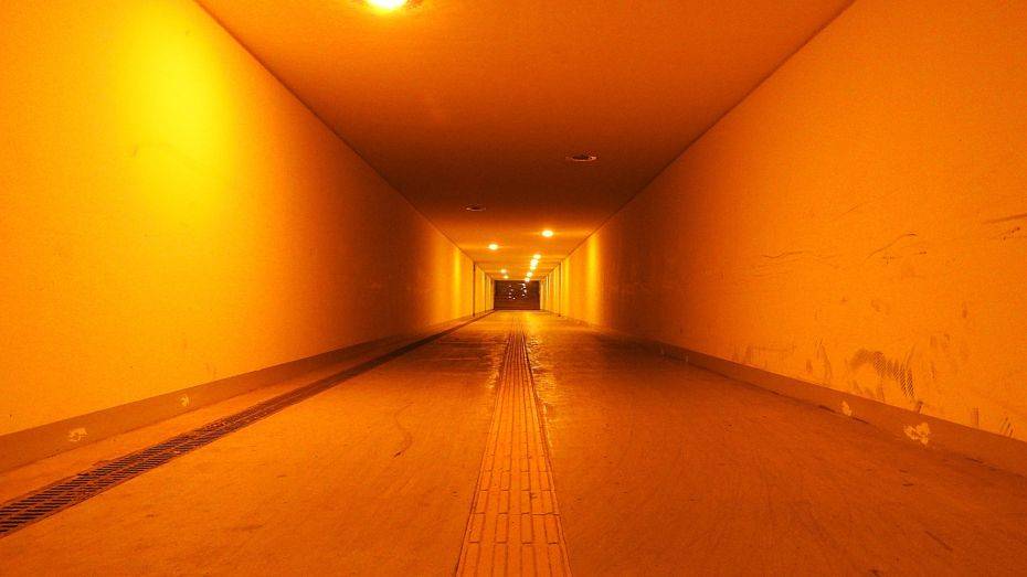 В Воронеже 33-метровый подземный переход появится возле остановки «Березовая Роща»