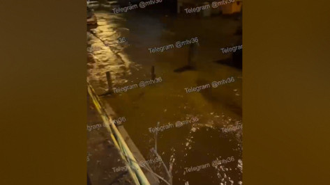 В Воронеже затопило улицу Лидии Рябцевой: видео