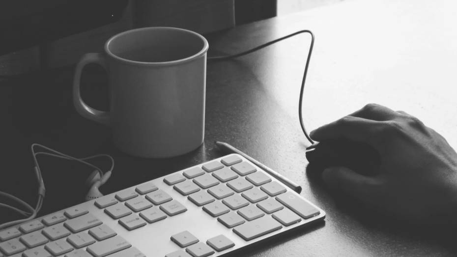 Опрос: для трети россиян важна защита личных данных при публикации резюме