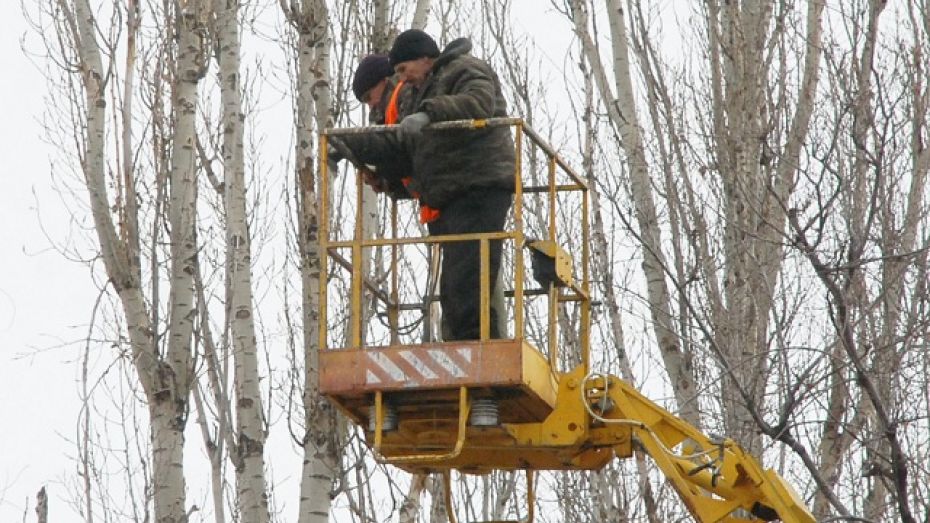 В Кантемировке обрезали деревья, угрожающие безопасности  воспитанников детского сада