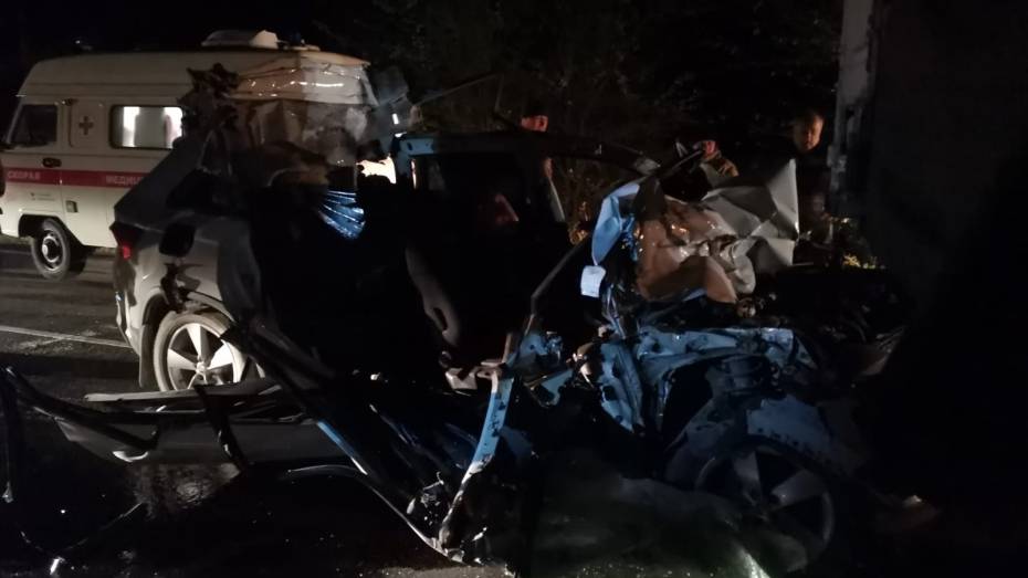 В Воронежской области умер в больнице мужчина, влетевший на Skoda в военный грузовик