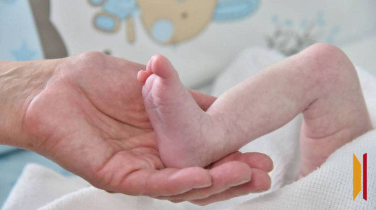 В Борисоглебске продлили акцию по вручению сертификатов родителям новорожденных