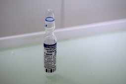 В Воронеже вакцинировали от ковида 70% работников муниципальных учреждений