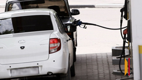 В Воронежской области подняли цены на некоторые виды автомобильного топлива