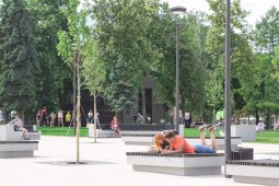 Жителей Воронежской области призвали выбрать парки и скверы для благоустройства