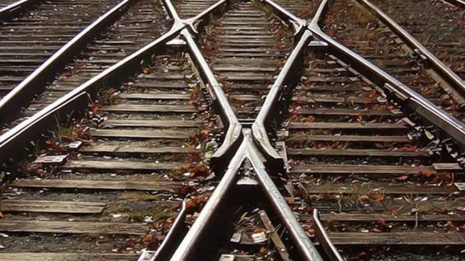 Под Воронежем двое мужчин пытались похитить два мешка деталей с железной дороги