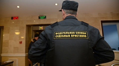 Судебные приставы Воронежской области взыскали 4,5 млрд рублей в 2017 году
