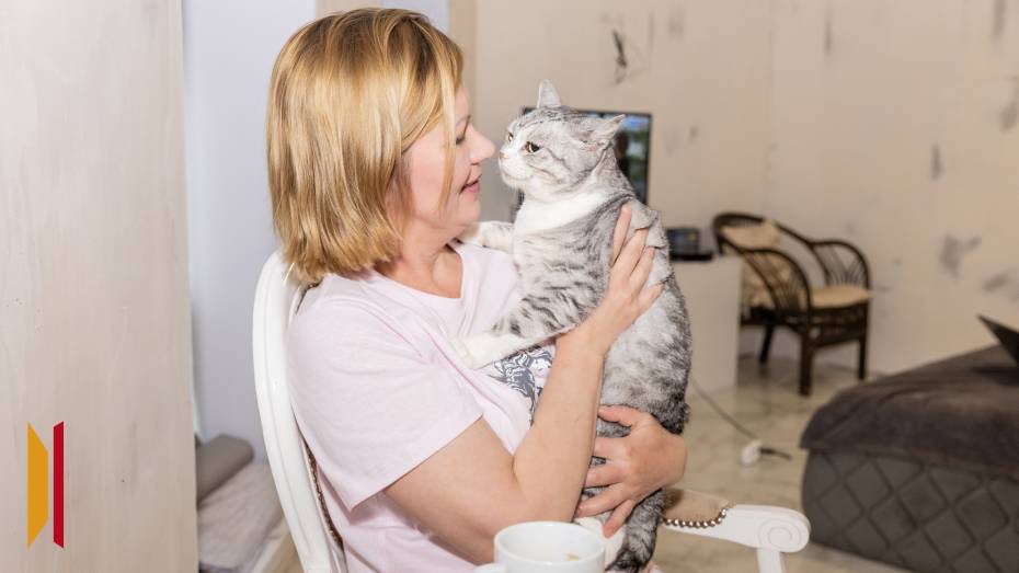 «Нитка вместо хвоста и полтора килограмма веса»: как жительница Воронежа выхаживает кошек, вывезенных из зоны СВО