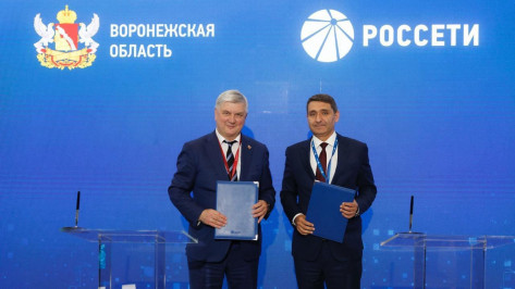 Россети направят на проекты Воронежской области более 4,7 млрд рублей