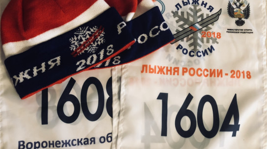 На «Лыжню России» в первый день регистрации записались более 2 тыс воронежцев