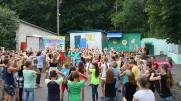 Все детские лагеря Воронежской области обработают от комаров и клещей