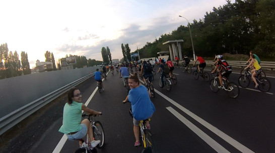 В Воронеже появится социальная сеть для волонтеров 