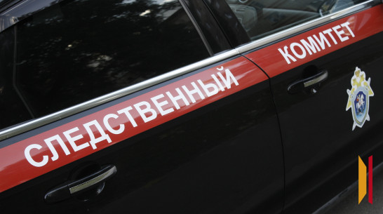 Председатель СК России запросил доклад по делу о наезде самокатчика на 8-летнюю девочку в Воронеже