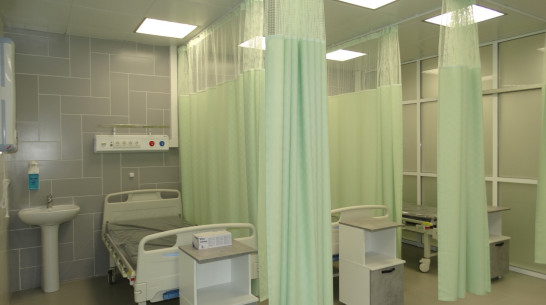 Через приемное отделение Воронежской облбольницы №1 прошло рекордное число пациентов