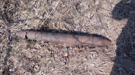 В Острогожском районе сельчанин нашел реактивный снаряд времен ВОВ от «Катюши»
