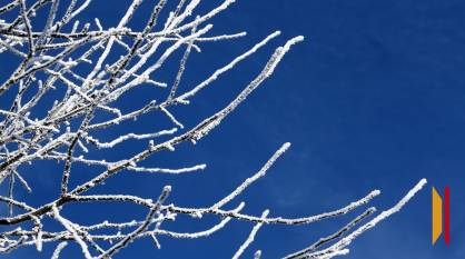 Воронежцев предупредили о резком похолодании и сильном ветре 17 февраля