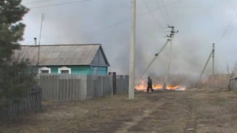 Таловчане тушили ландшафтный пожар подручными средствами