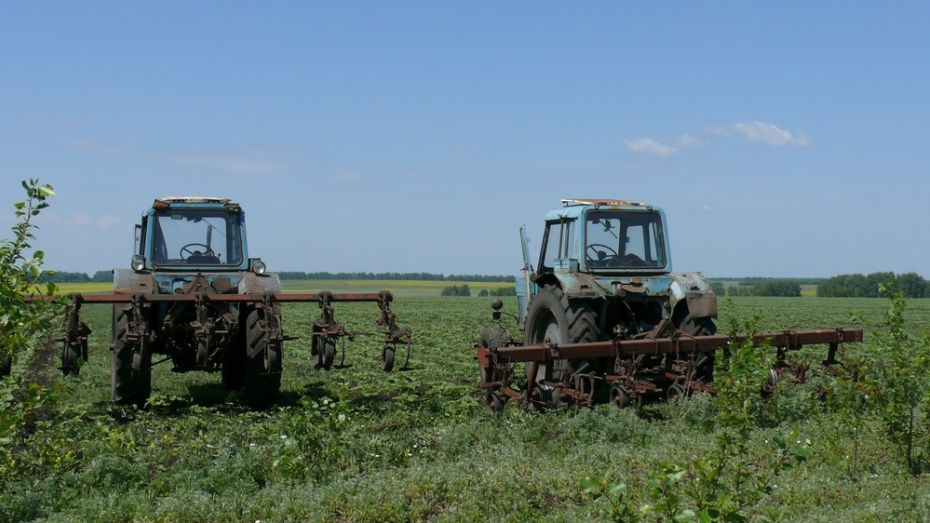 В Грибановском районе сельчанин угнал с фермы трактор