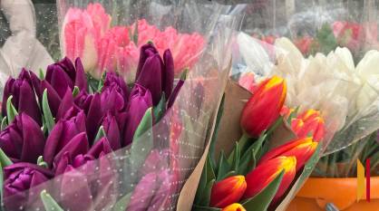 Более 60 мероприятий подготовили в Воронеже к Международному женскому дню