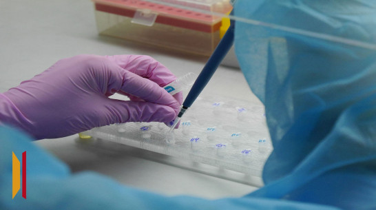 В Ольховатском районе Воронежской области ввели карантин по бешенству животных