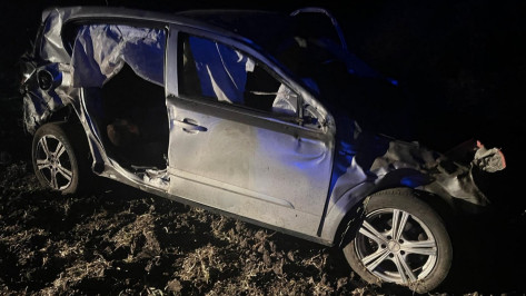 В Воронежской области в ДТП погиб подросток