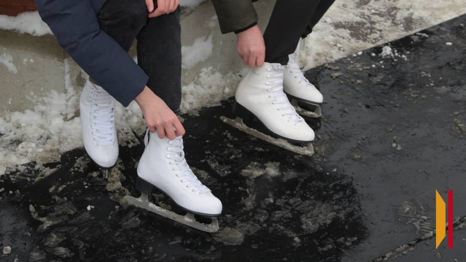 В Воронеже перенесли открытие катка в парке «Дельфин»