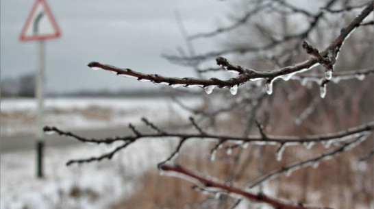 Воронежскую область накроет замерзающий дождь