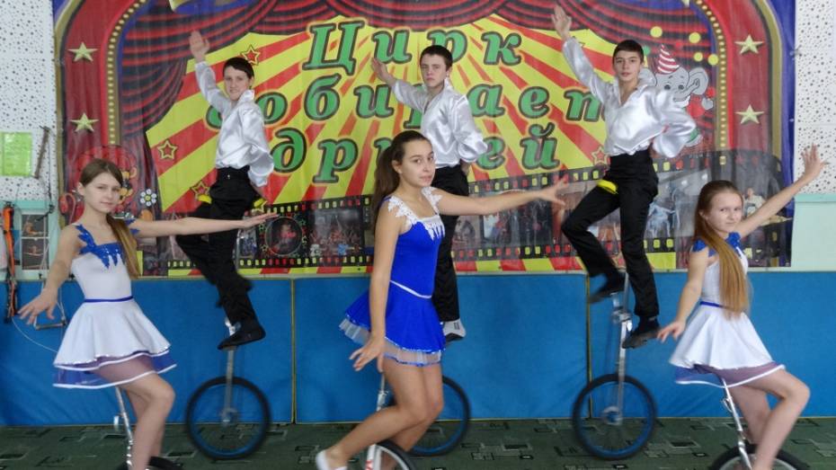 Ольховатские циркачи взяли гран-при международного фестиваля