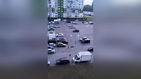 Погоню за бараном сняли на видео в Воронеже