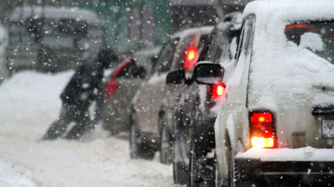 Ежедневный снегопад прогнозируется в Воронеже в последние выходные января