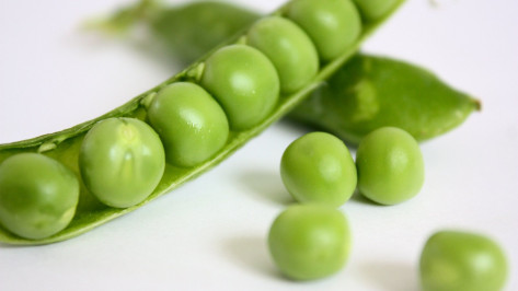 Воронежский аграрный научный центр оштрафовали за обработку гороха неправильным пестицидом