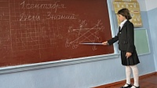 В День знаний в школы Воронежа отправятся более 9,2 тыс первоклассников