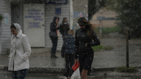 Синоптики спрогнозировали мокрый снег с дождем на ближайших выходных в Воронеже