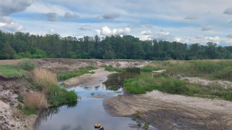 Экологи проверили сообщение о работе тяжелой техники на берегу Усманки в Воронеже