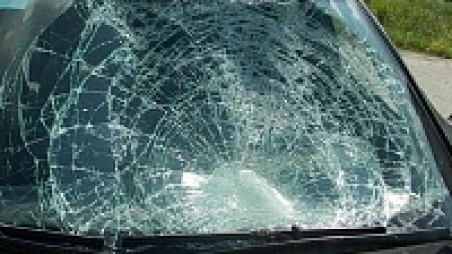 В Богучарском районе поймали разбившего стекла Opel мужчину