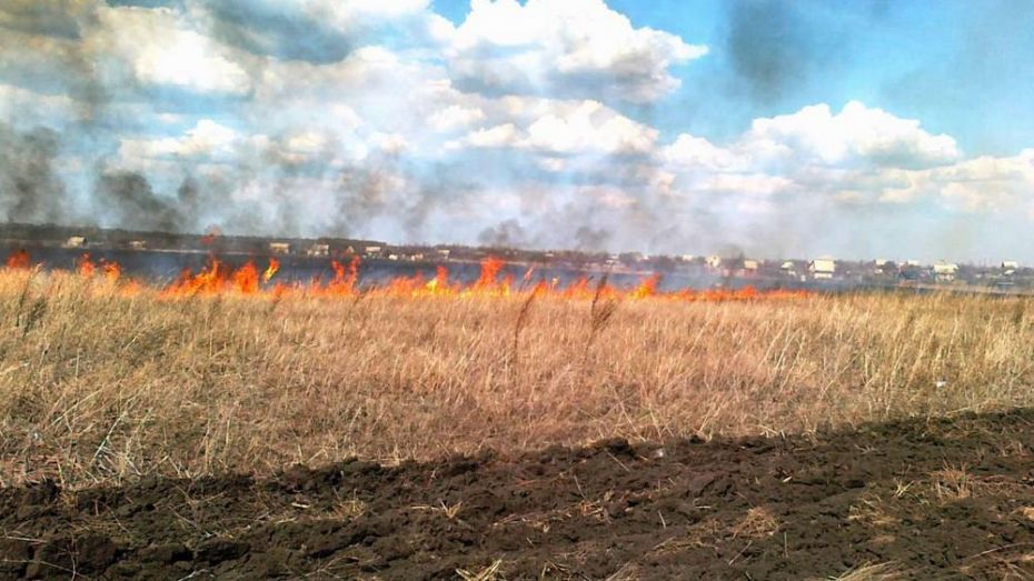 В Борисоглебском районе за сутки произошло 7 пожаров