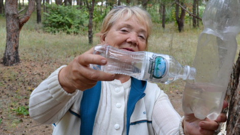 Лискинские пенсионеры  взяли под опеку белок в пригородном лесу