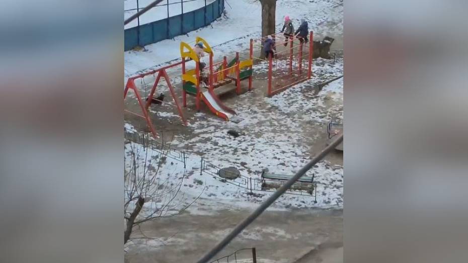 В Воронежской области стая собак окружила детей на игровой площадке