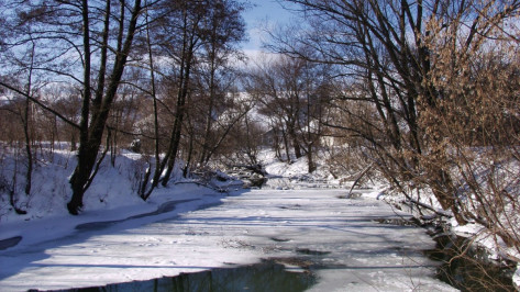 Воронежские власти взяли 48 памятников природы под особую охрану