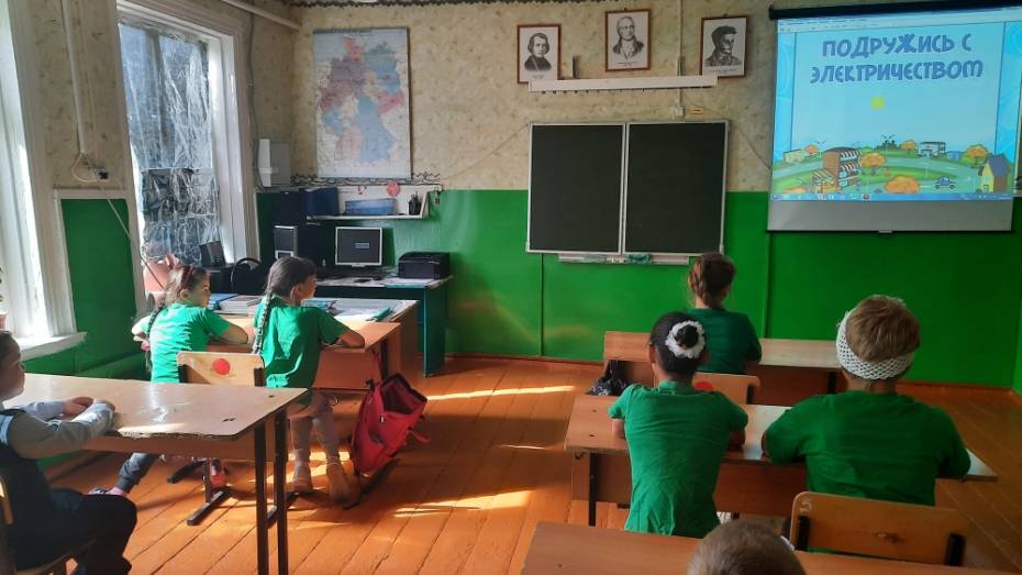 Специалисты Воронежэнерго провели уроки безопасности в школах
