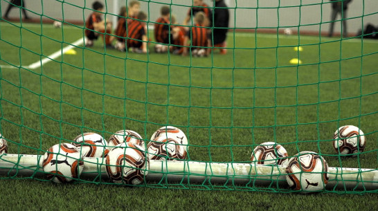 Представитель «Милана» подтвердил закрытие футбольной академии в Воронеже