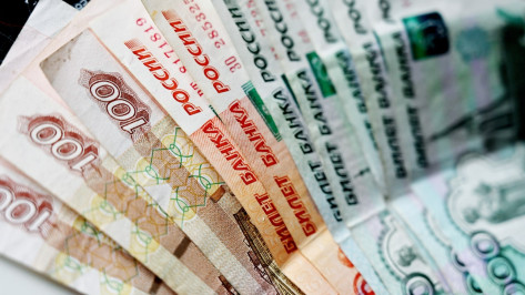 Средняя зарплата в организациях достигла в Воронеже 51,6 тыс рублей