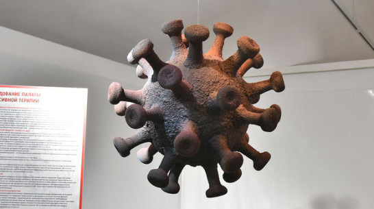 Во время пандемии в Воронежской области от коронавируса умерли 6 детей