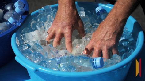 Продолжительная жара ожидает воронежцев на новой рабочей неделе
