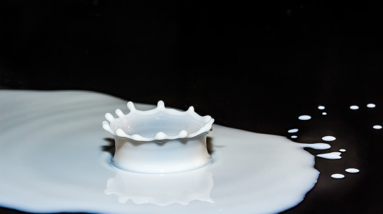 Воронежцам рассказали о важности импортозамещения при производстве детского питания