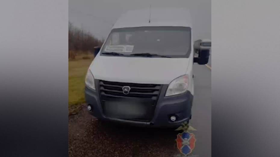 Воронежские госавтоинспекторы пришли на помощь пассажирам сломавшегося рейсового автобуса из Россоши